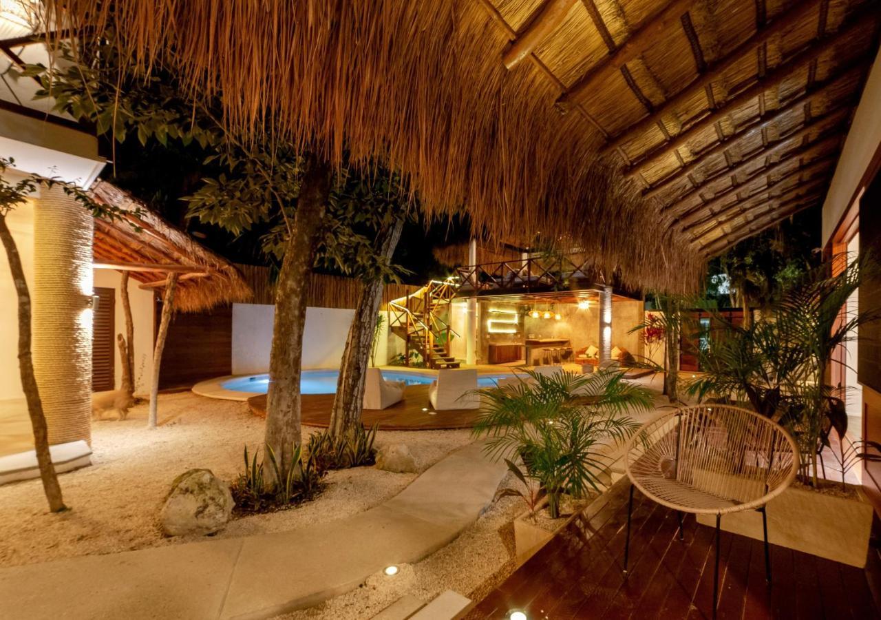 Auberge de jeunesse Mimosa