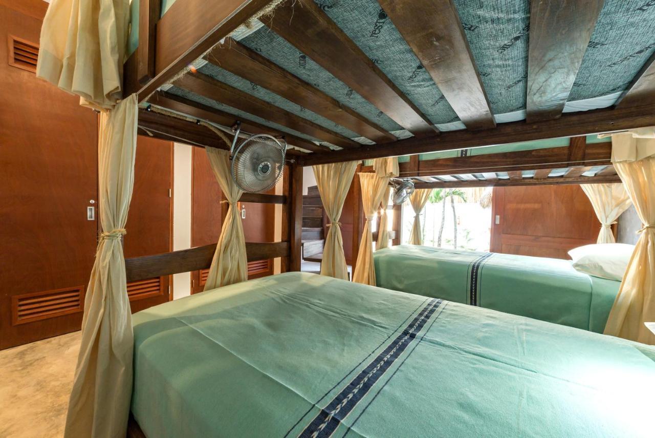 Auberge de jeunesse Mimosa