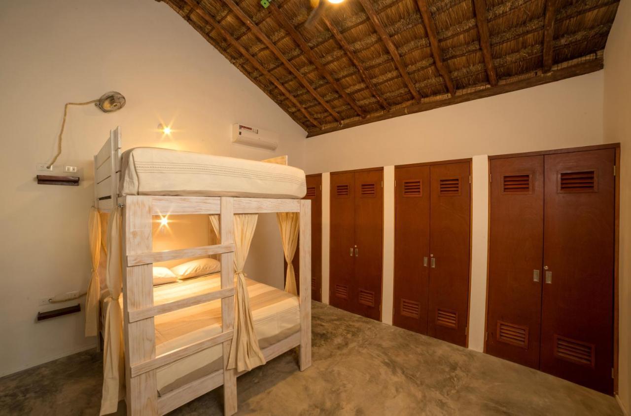 Auberge de jeunesse Mimosa *