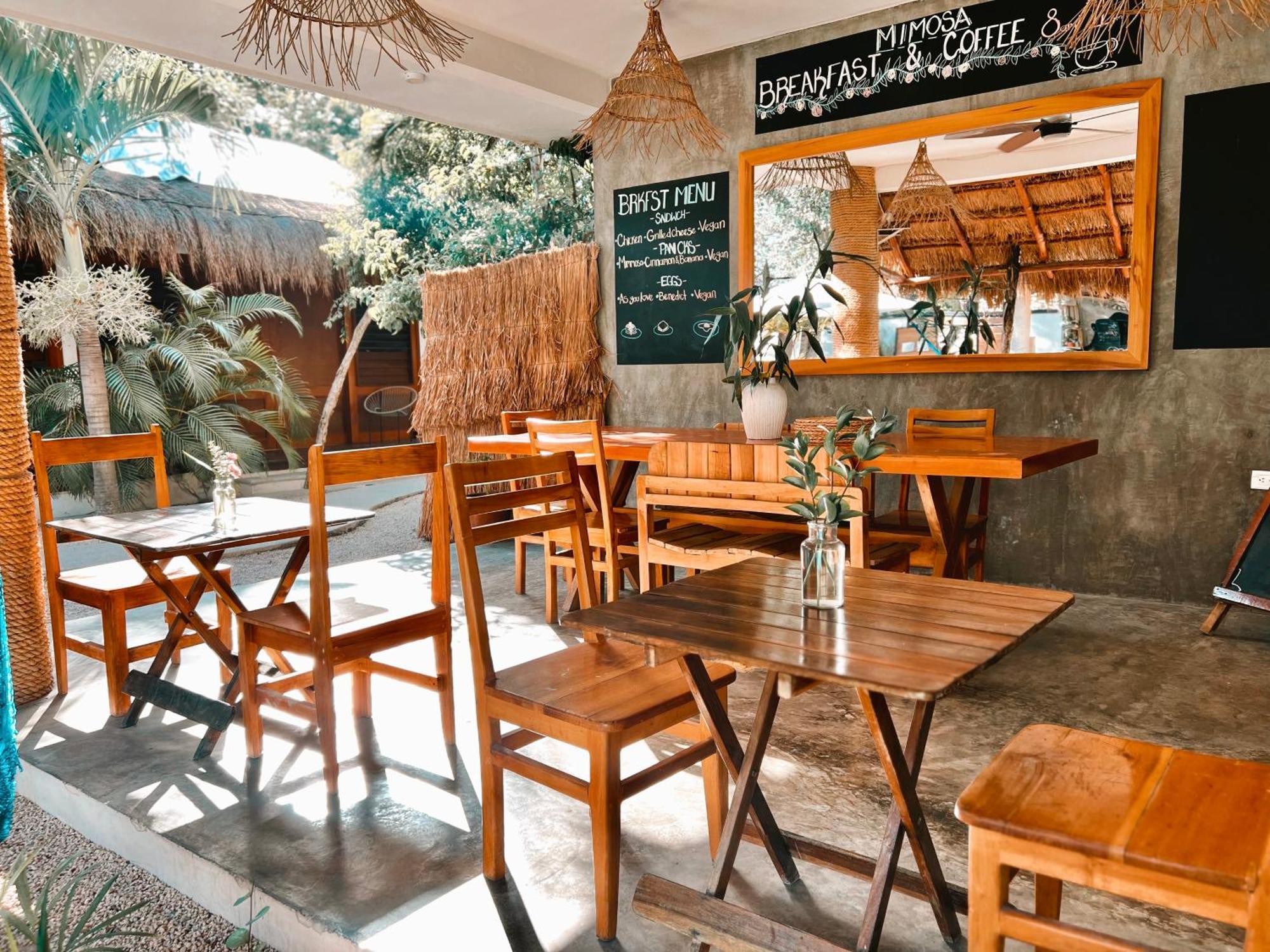 Auberge de jeunesse Mimosa