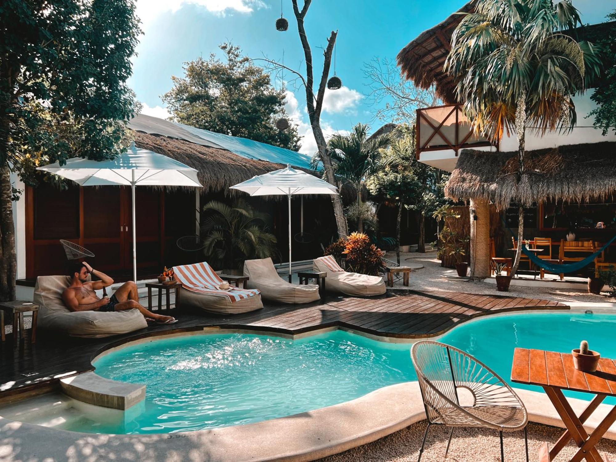 Mimosa Auberge de jeunesse